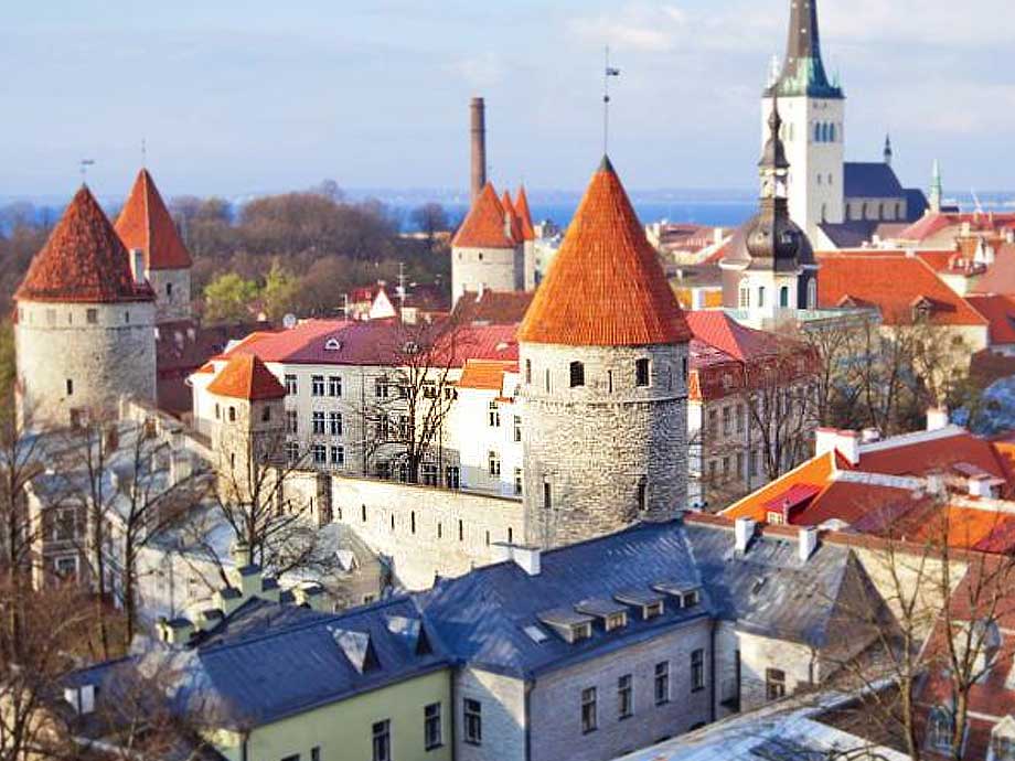 Тур для школьников в Эстонию из Петербурга