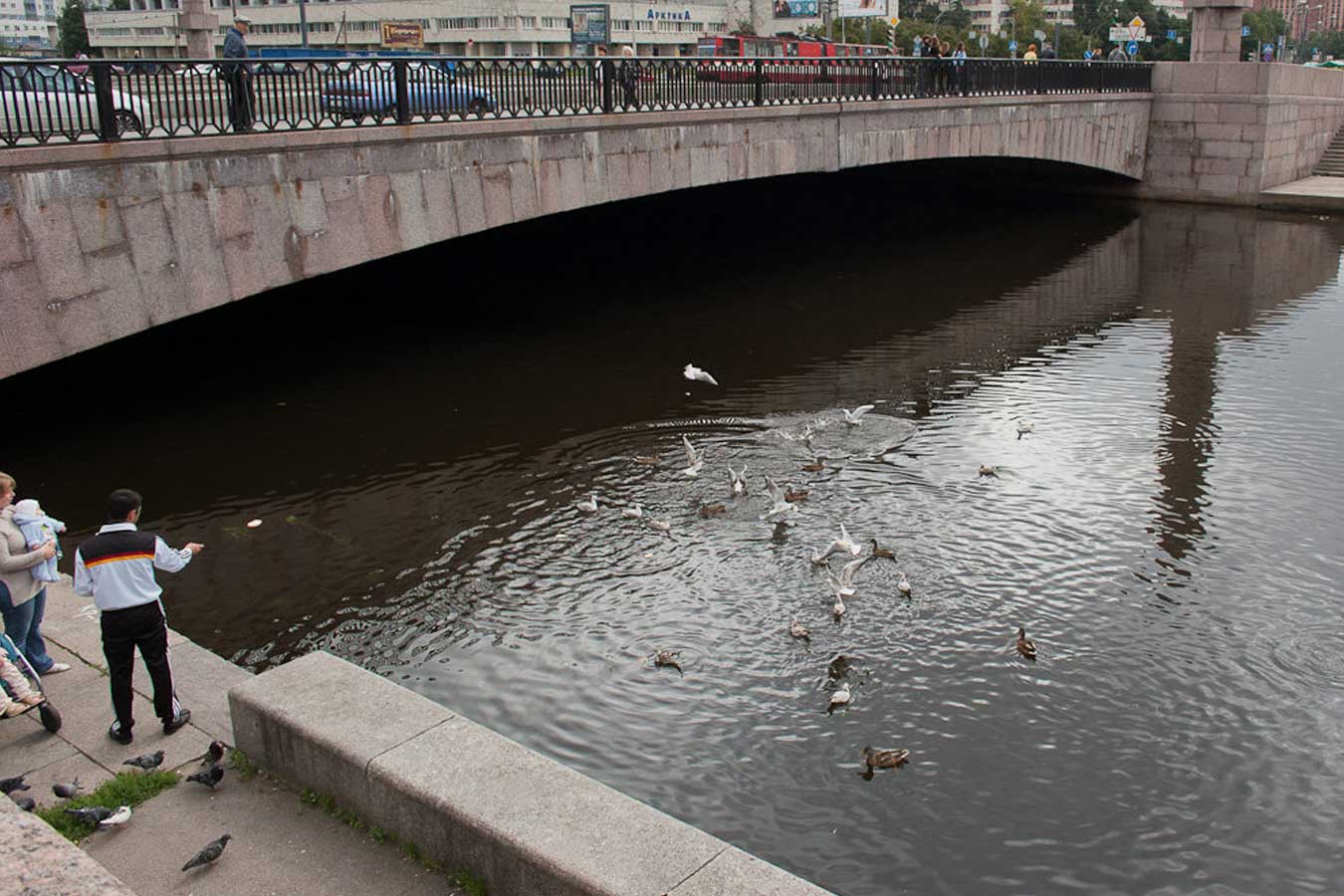 Наличный мост Петербург